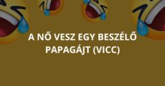 A nő vesz egy beszélő papagájt (Vicc)