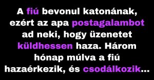 A katonai szolgálaton levő fiú postagalambot akar küldeni a szüleinek (Vicc)