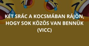 Két srác a kocsmában rájön, hogy sok közös van bennük (Vicc)