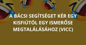 A bácsi segítséget kér egy kisfiútól egy ismerőse megtalálásához (Vicc)