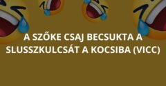 A szőke csaj becsukta a slusszkulcsát a kocsiba (Vicc)