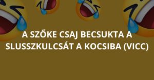 A szőke csaj becsukta a slusszkulcsát a kocsiba (Vicc)