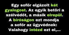 Egy sofőr elgázol két gyalogost (Vicc)