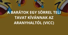 A barátok egy sörrel teli tavat kívánnak az aranyhaltól (Vicc)