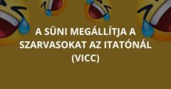 A süni megállítja a szarvasokat az itatónál (Vicc)