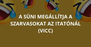 A süni megállítja a szarvasokat az itatónál (Vicc)