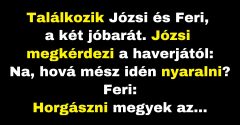 Józsi tanácsot ad barátjának, Ferinek a nyaralással kapcsolatban (Vicc)