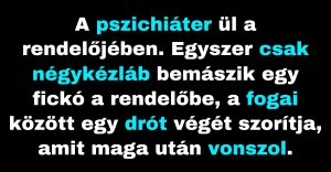 A pszichiáter egy fura fickóval beszélget (Vicc)