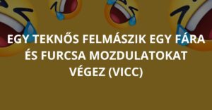 Egy teknős felmászik egy fára és furcsa mozdulatokat végez (Vicc)