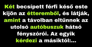 Két spicces férfi azon agyal, hogy hogyan fognak hazajutni (Vicc)