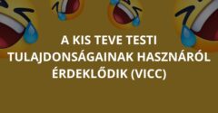 A kis teve testi tulajdonságainak hasznáról érdeklődik (Vicc)