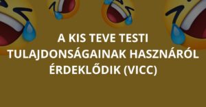 A kis teve testi tulajdonságainak hasznáról érdeklődik (Vicc)