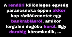 A rendőri különleges egység parancsnoka bankrablásról kap üzenetet (Vicc)