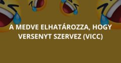 A medve elhatározza, hogy versenyt szervez (Vicc)
