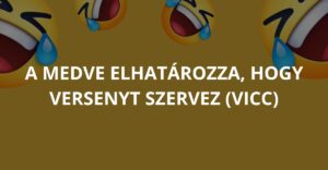 A medve elhatározza, hogy versenyt szervez (Vicc)