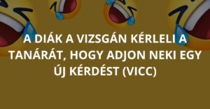 A diák a vizsgán kérleli a tanárát, hogy adjon neki egy új kérdést (Vicc)