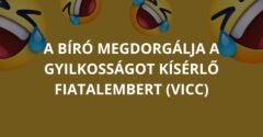A bíró megdorgálja a gyilkosságot kísérlő fiatalembert (Vicc)