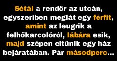 A rendőr figyeli, miként ugrik le két férfi a felhőkarcolóról (Vicc)