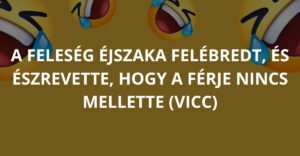 A feleség éjszaka felébredt, és észrevette, hogy a férje nincs mellette az ágyban (Vicc)