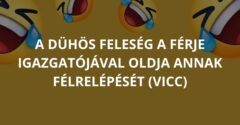 A dühös feleség a férje igazgatójával oldja annak félrelépését (Vicc)
