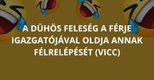 A dühös feleség a férje igazgatójával oldja annak félrelépését (Vicc)