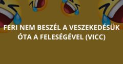 Feri nem beszél a veszekedésük óta a feleségével (Vicc)