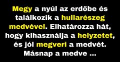 A nyúl elhatározta, hogy megveri a medvét. (Vicc)