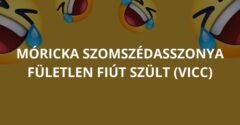 Móricka szomszédasszonya fületlen fiút szült (Vicc)
