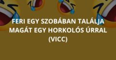 Feri egy szobában találja magát egy horkolós úrral (Vicc)