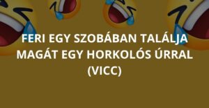 Feri egy szobában találja magát egy horkolós úrral (Vicc)