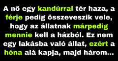 A férfi meg akar szabadulni a mindig visszatérő kandúrtól. (Vicc)