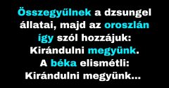 Az oroszlán bejelenti az állatoknak, hogy kirándulni mennek. (Vicc)