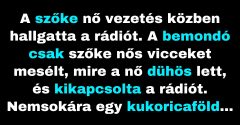 A szőke nő haragszik, hogy az emberek nevetnek rajtuk (Vicc)