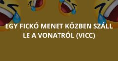 Egy fickó menet közben száll le a vonatról (Vicc)
