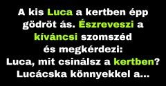 Luca a kertben temeti el a halacskáját. (Vicc)