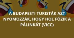 A budapesti turisták azt nyomozzák, hogy hol főzik a pálinkát (Vicc)