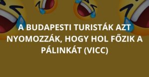 A budapesti turisták azt nyomozzák, hogy hol főzik a pálinkát (Vicc)