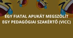 Egy fiatal apukát megszólít egy pedagógiai szakértő (Vicc)