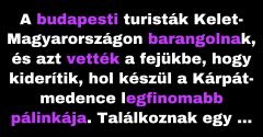 A budapesti turisták azt nyomozzák, hogy hol főzik a pálinkát. (Vicc)