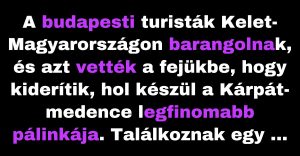 A budapesti turisták azt nyomozzák, hogy hol főzik a pálinkát. (Vicc)