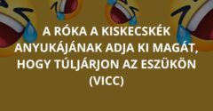 A róka a kiskecskék anyukájának adja ki magát, hogy túljárjon az eszükön (Vicc)