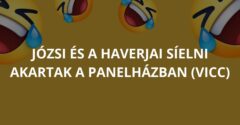 Józsi és a haverjai síelni akartak a panelházban (Vicc)