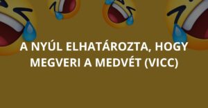 A nyúl elhatározta, hogy megveri a medvét (Vicc)