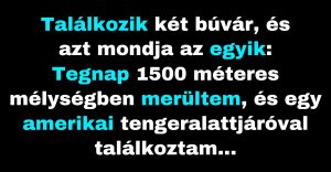 Két búvár arról beszélget, hogyan találkoztak különböző tengeralattjárókkal. (Vicc)