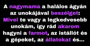 A nagymama egy farmot hagy az unokájára (Vicc)