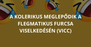 A kolerikus meglepődik a flegmatikus furcsa viselkedésén (Vicc)