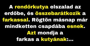 A rendőrkutya és a farkas próbál kiszabadulni a csapdából. (Vicc)