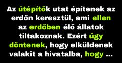 Az állatok meg akarják akadályozni, hogy az útépítők utat építsenek az erdőn keresztül (Vicc)