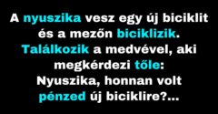 A nyúl az új cuccaival dicsekszik a medvének (Vicc)