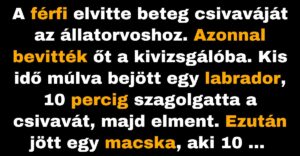 A férfi nagy összegű számlát kap csivavájának kezeléséért (Vicc)